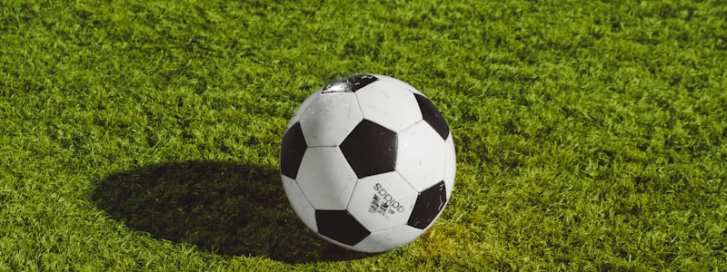 2026世界杯联合举办国美国、加拿大、墨西哥的国旗与足球元素组合图